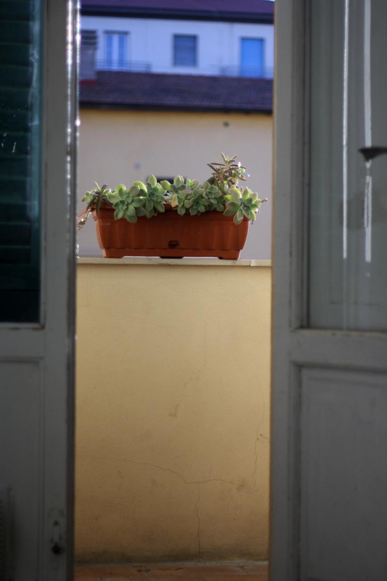 Ferienwohnung A Due Passi Dal Treno Pisa Exterior foto